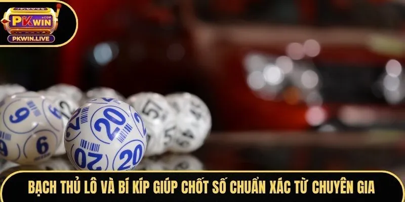 Bạch thủ lô