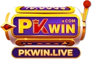 pkwin.live